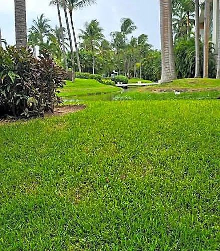 Suites At Mayan Palace Vidanta Resort Riviera Maya 5*
