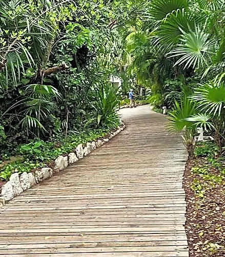 Hotel Suites At Mayan Palace Vidanta Resort Riviera Maya